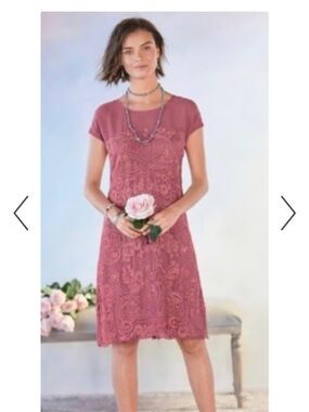 NWT Sundance Rose Pink Embroidered Sheer Yoke Dress